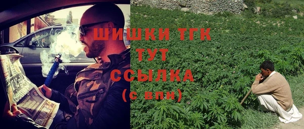 хмурый Михайлов