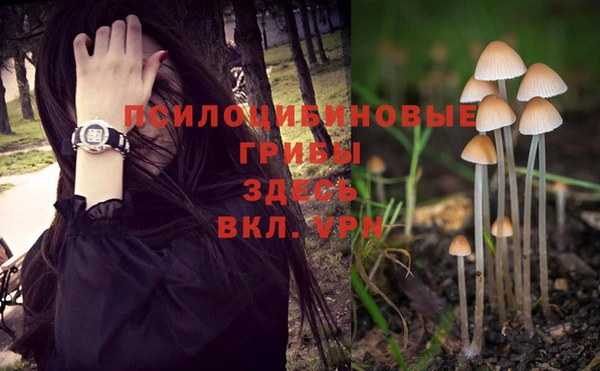 хмурый Михайлов
