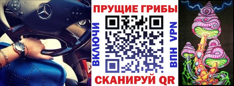 Купить где  Гай  Псилоцибиновые грибы Psilocybine cubensis 