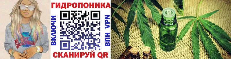 Купить Гай Каннабис MAZAR